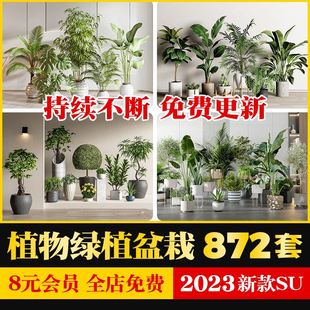 绿植植物花盆盆栽盆景松树单体室内花卉花草素材草图大师SU模型库