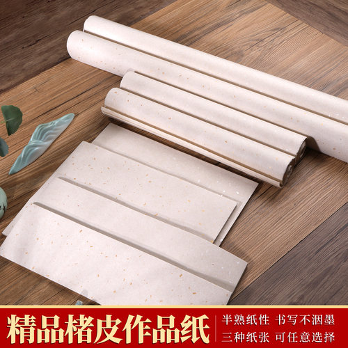 鸿猷文房楮皮小纸条半生熟宣纸书法作品纸空白洒金毛笔字专用A4四尺对开篆隶行草书小楷软笔练字加厚练习纸