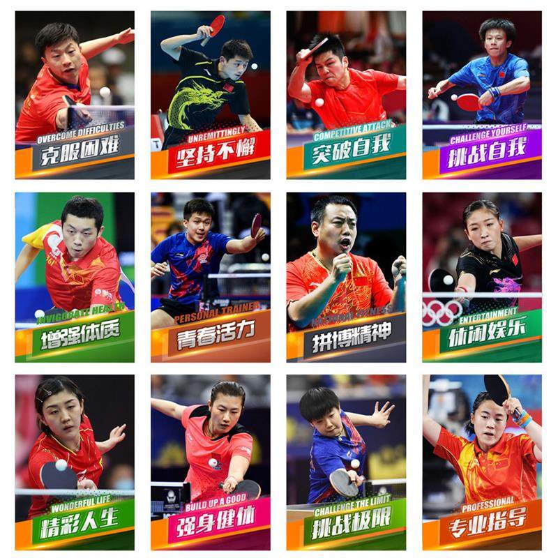 乒乓球海报装饰画体育明星马龙刘诗雯许昕图片台球女郎潘晓婷贴画