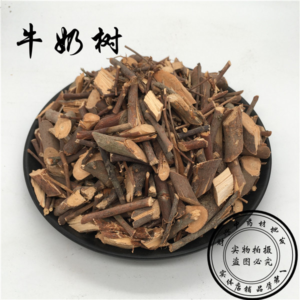软枝牛乳根 小号牛奶树 细叶白花牛奶树根 水松 500g 3斤包