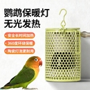 鹦鹉专用宠物灯罩加热灯恒温保温灯爬宠保温灯过冬取暖无光灯鸟笼