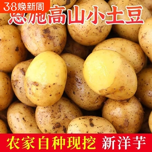 恩施小土豆现挖湖北新鲜黄心土豆当季蔬菜整箱迷你马铃薯洋芋