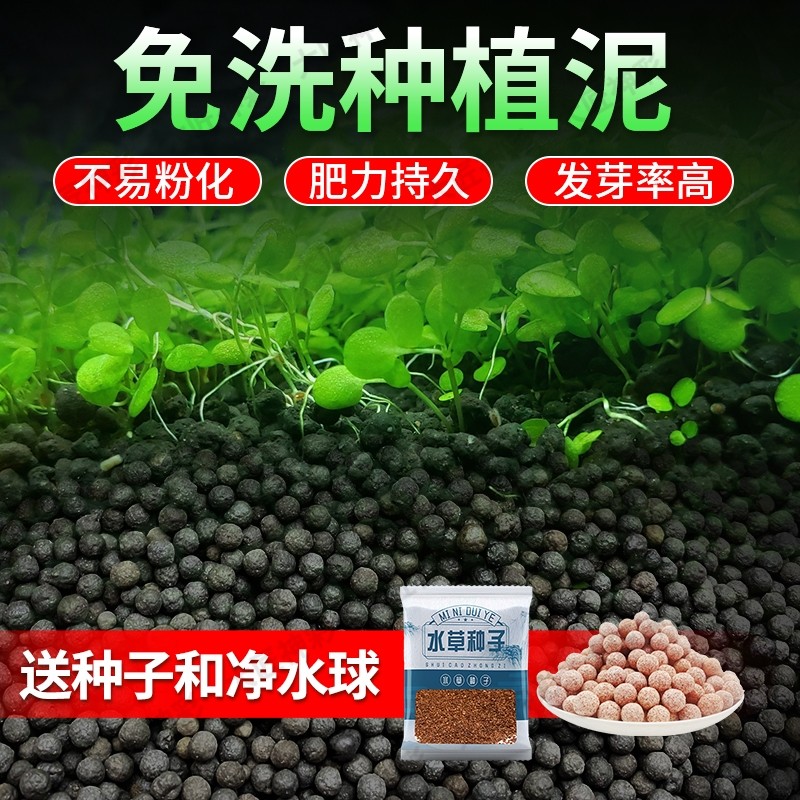 鱼缸专用水草泥种子生态鱼缸造景底部砂石免洗陶粒砂水藻泥碗莲泥