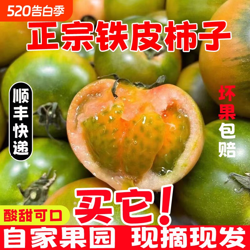 新鲜铁皮草莓柿子5斤应当季西红柿生吃水果碱地盘锦绿腚番茄蔬菜