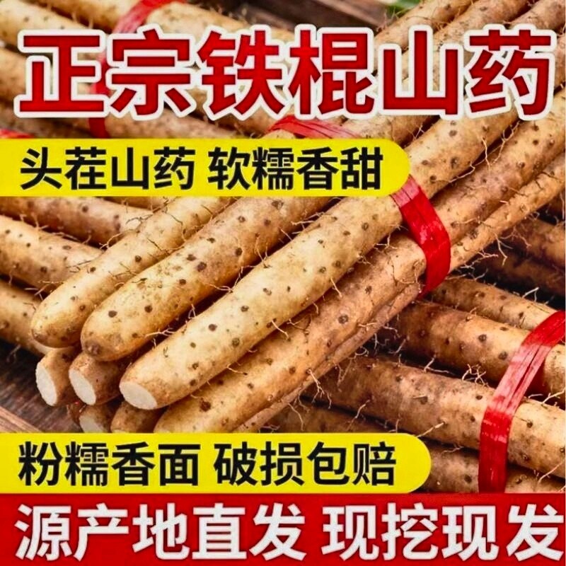 正宗铁棍山药小白嘴山药新鲜现挖麻山药香甜软糯宝宝辅食