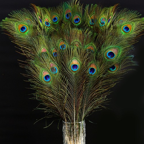 收藏加购，优先发货