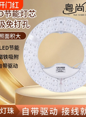 led节能灯盘灯芯灯管吸顶灯替换圆形家用客厅卧室磁吸led超亮暖光