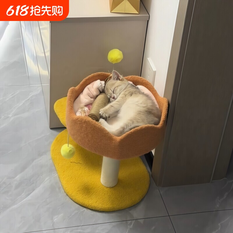 猫爬架小型猫抓板猫窝一体迷你猫架子幼猫玩具猫爪柱小户型不占地