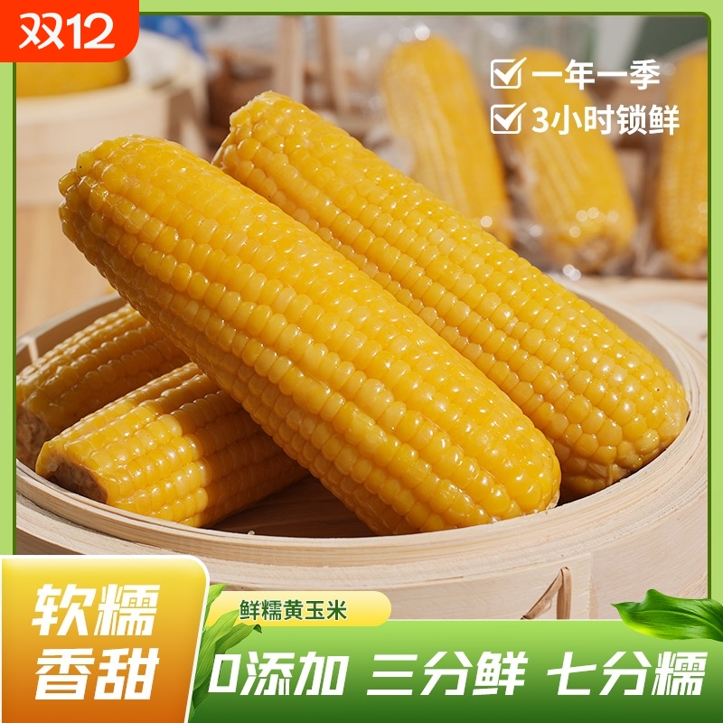 黄糯玉米8支装真空包装新鲜现摘香粘粘苞米非即食粗粮