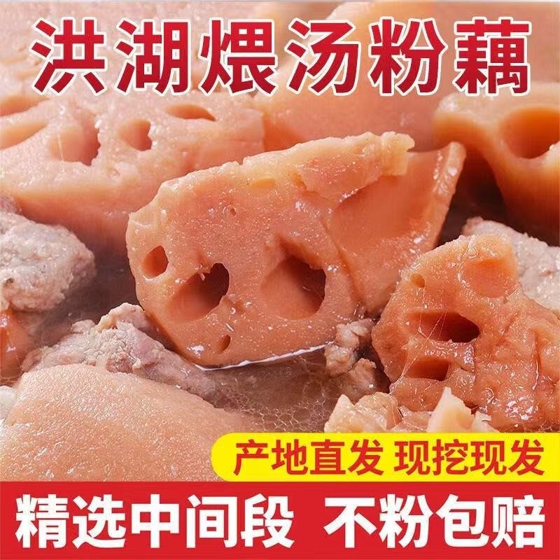 现挖现发湖北洪湖粉藕新鲜煲汤藕青泥巴藕面藕炖汤粉藕莲藕九孔