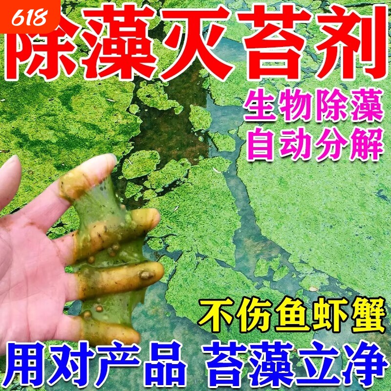 鱼池除藻去苔剂不伤鱼青苔灭绿水藻去除剂水池浮萍清除剂水质蓝藻