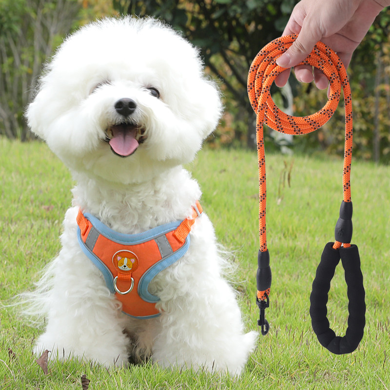狗狗牵引绳小型犬泰迪比熊博美胸背带狗狗幼犬遛狗绳狗链子背心式