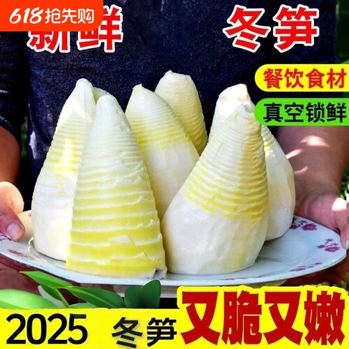 新鲜冬笋现挖水煮笋清水笋尖竹笋新鲜500g袋装完整一个笋