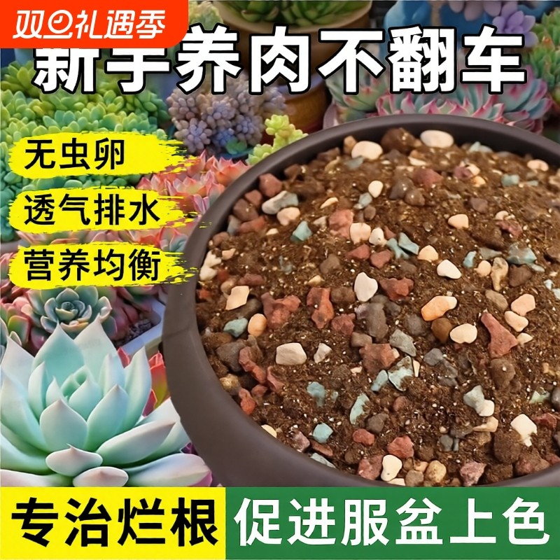 多肉颗粒土专用营养土植物泥炭种植土壤肉肉叶插小苗老桩颗粒花土