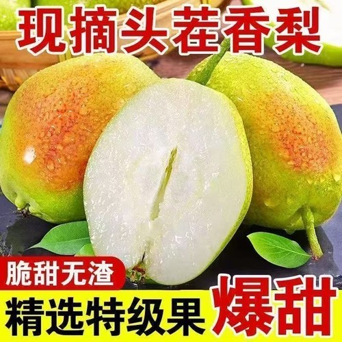 【脆甜多汁】红香酥梨子新鲜水果当季香酥梨薄皮香梨薄皮梨一整箱