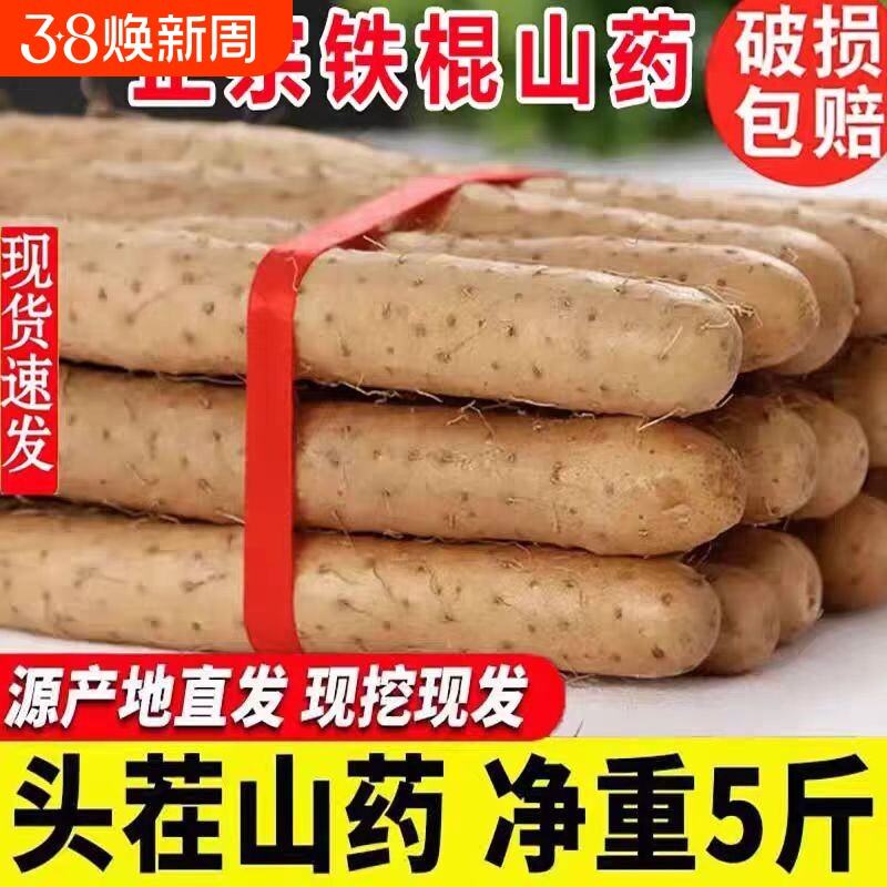 铁棍山药新鲜淮山药铁杆山药现挖5斤非温县怀山药蔬菜