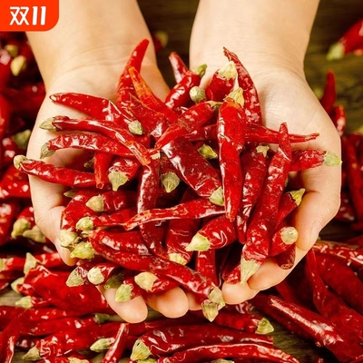 干辣椒香辣十足椒香浓郁农家自种