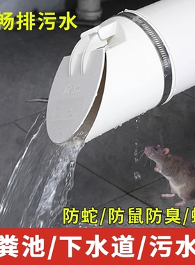 PVC排水管防返臭污水单向止回阀50/75/110防臭蚊虫鼠蛇止逆阀外盖