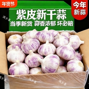 【山东特产】紫皮大蒜新干蒜新鲜大蒜头批发整箱优质蒜子多瓣干蒜