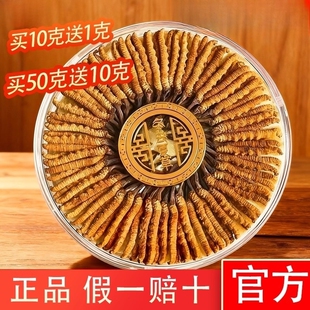 假一赔十冬虫夏草2025年那曲头期正品 滋补 虫草正宗整草干货礼盒装
