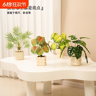 仿真绿植小型桌面摆件北欧办公室客厅发财树小盆栽仿生装饰假花