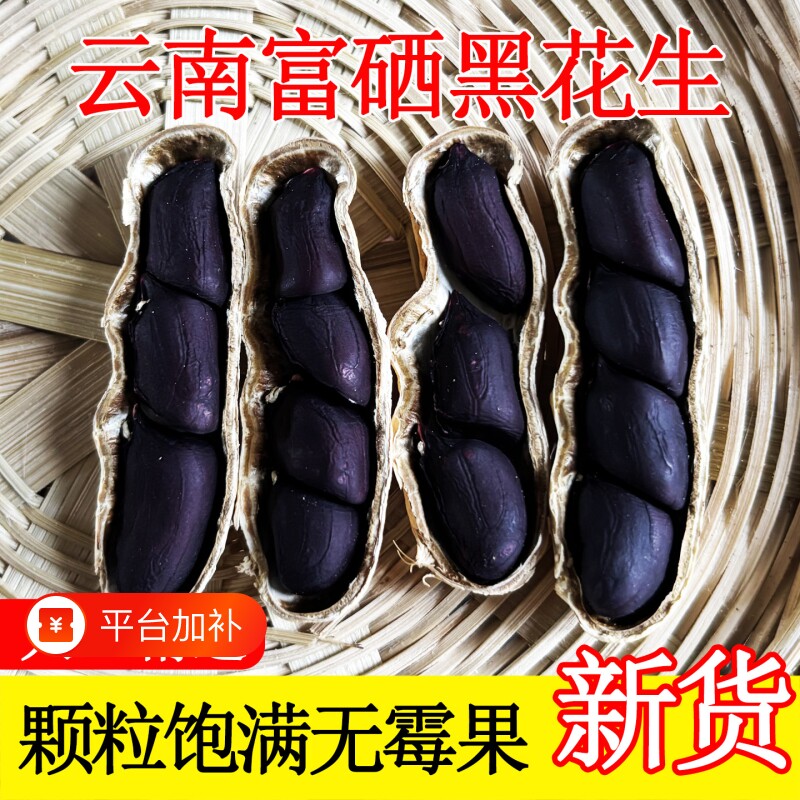 云南黑花生带壳富硒晒干特产2026年黑皮花生米年货红花生新货油炸