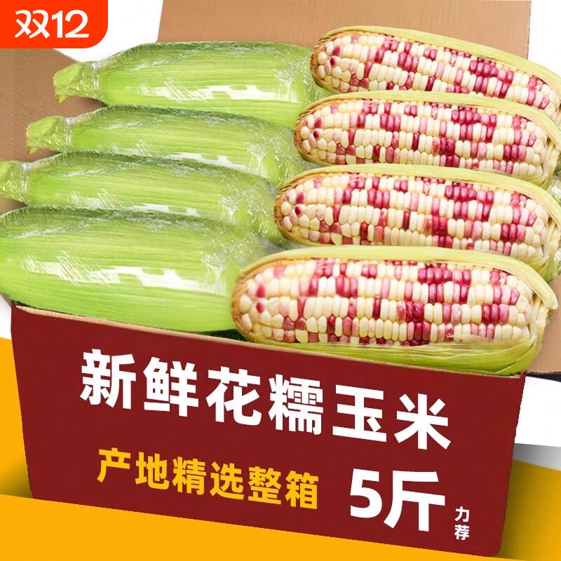 现摘一级新鲜花糯玉米