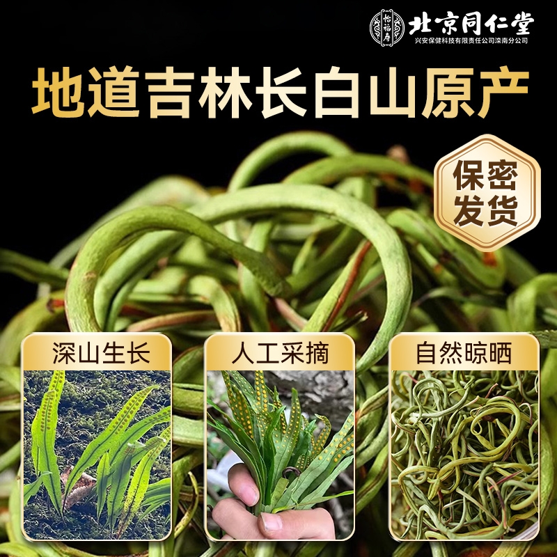 长白山野生小叶】嗷嗷叫肾精草