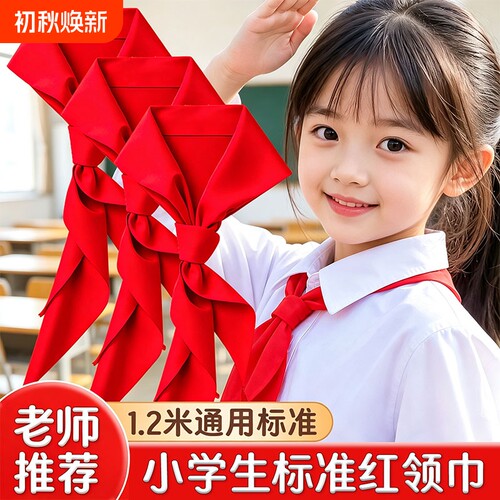红领巾标准小学生专用速干抗皱