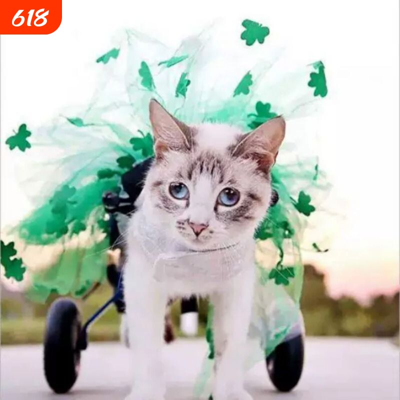 猫咪后腿复健轮椅 轻便型小奶猫轮椅车 脊椎断裂复康辅具专用