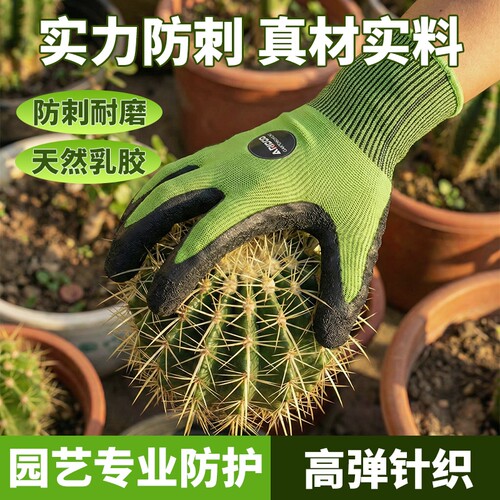 乳胶园艺手套防刺防滑耐磨防水种花拔草透气防护绿色种植修剪专业