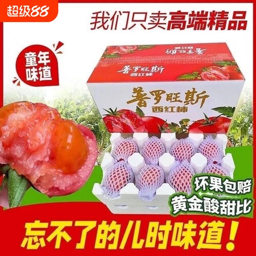 陕西泾阳普罗旺斯孕妇水果当季沙瓤西红柿自然熟新鲜生吃番茄蔬菜