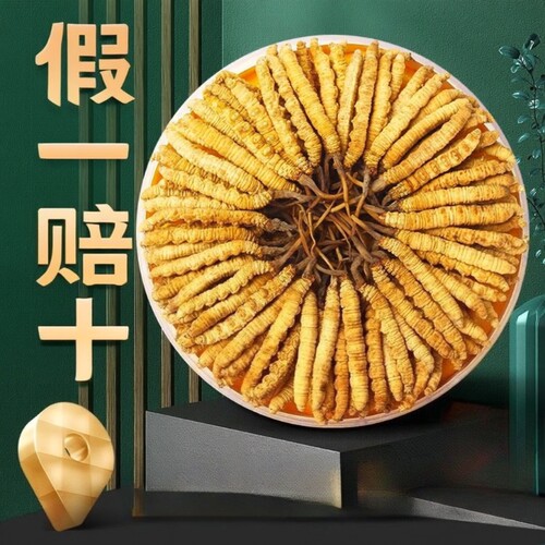 西藏那曲冬虫夏草头期干货高海拔
