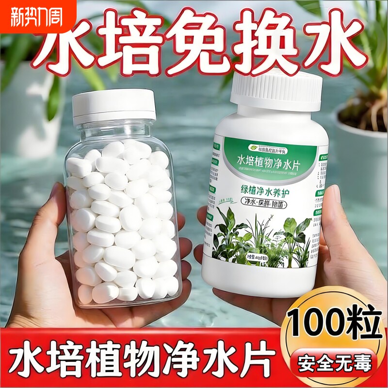 水培植物净水片鲜花花卉保鲜剂除臭杀菌消毒碗莲专用消毒净化水质