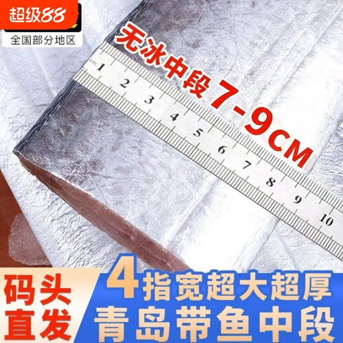 新鲜带鱼冷冻刀鱼段中段无冰特级深海鱼东海小眼海鱼鲜活水产精品