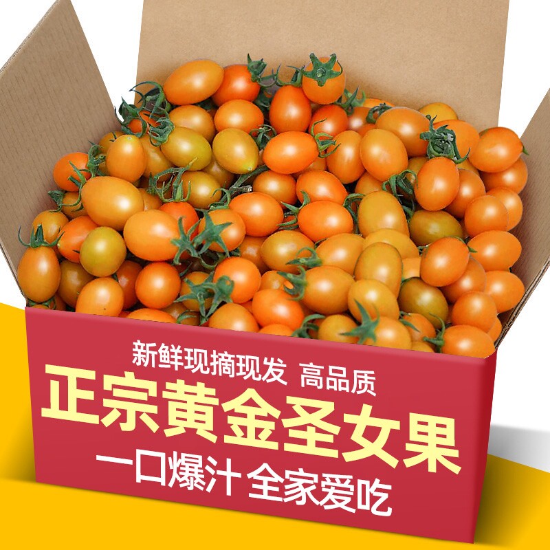 正宗黄金圣女果阳光樱桃千禧小番茄新鲜水果酸甜西红柿清甜爆汁