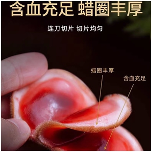 新鲜鹿茸整根头茬二杠吉林梅花鹿茸整枝带血泡酒药材鹿角茸片滋补