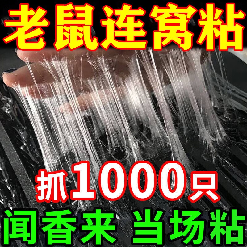 老鼠粘强力粘鼠板捉粘大老鼠贴超强灭鼠捕鼠神器捉沾魔毯粘贴仓库