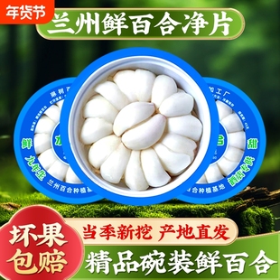 【顺丰包邮】兰州新鲜甘肃特产高食用净片碗装非百合干凉拌百合片