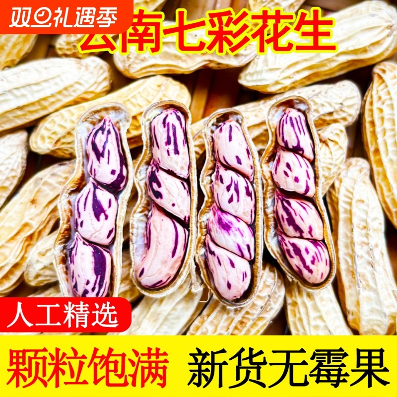 2025年云南七彩花生新货五彩花生水果奶油花生带壳晒干水煮咸干