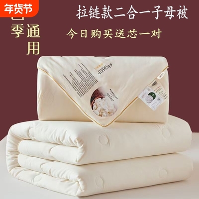 【送枕芯】蚕蛹蛋白冬被加厚保暖蚕丝被子母被二合一双胎学生春秋