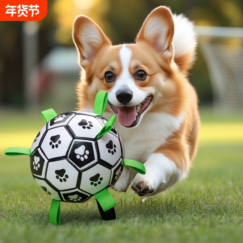 狗狗玩具球耐咬磨牙足球训狗专用球宠物用品解闷神器狗柯基边牧