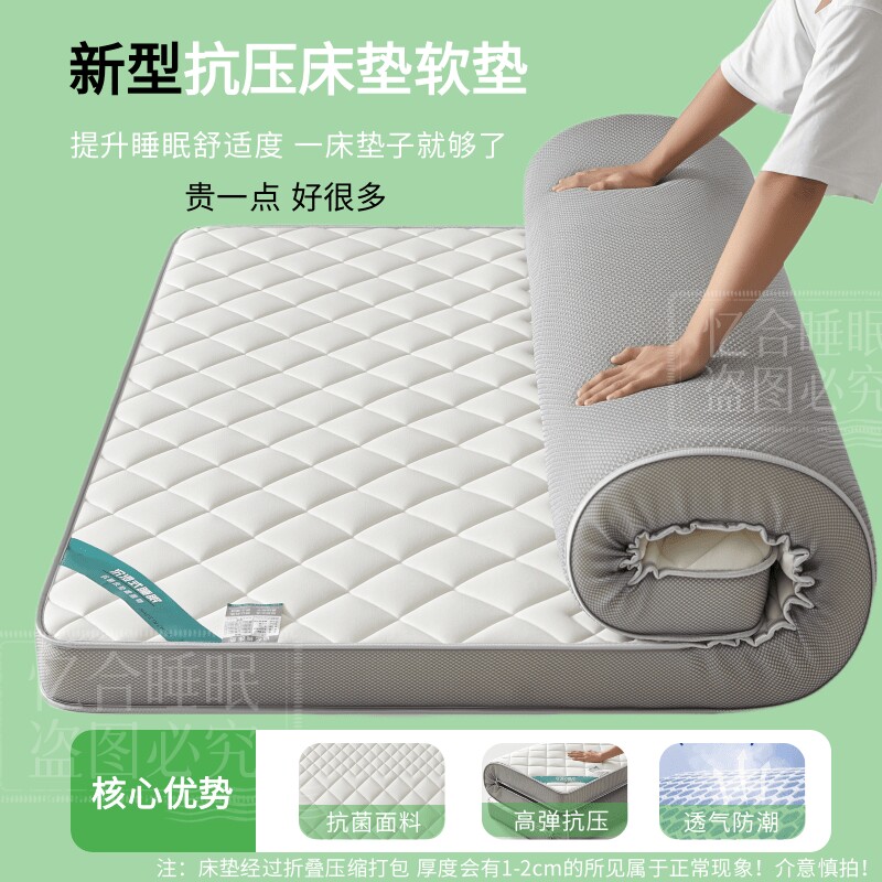 床垫软垫家用卧室单人租房专用榻榻米床垫薄垫褥子宿舍可折叠软垫图片