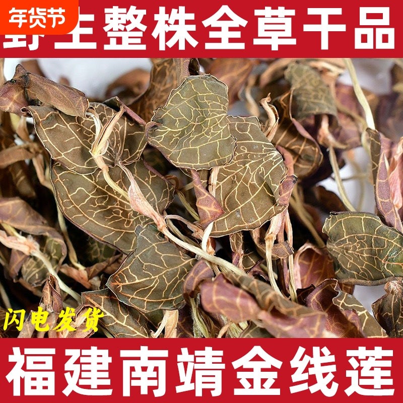 福建野生金线莲整株全草干品中药材金线莲炖汤泡茶金线兰新鲜礼盒