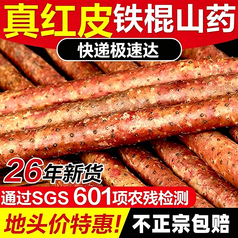 温县铁棍山药新鲜淮山药河南焦作正宗红皮乌鸡土铁棍山药礼盒新货