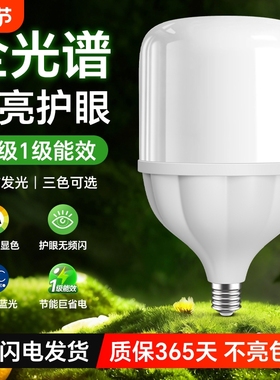 一级能效全光谱LED灯泡Ra98显色家用北欧吊灯E27螺口护眼节能灯泡