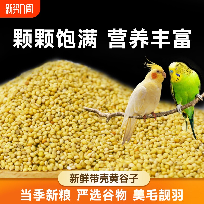 鹦鹉饲料鸟粮新黄谷子带壳小米虎皮鹦鹉饲料玄凤牡丹专用食物粮食