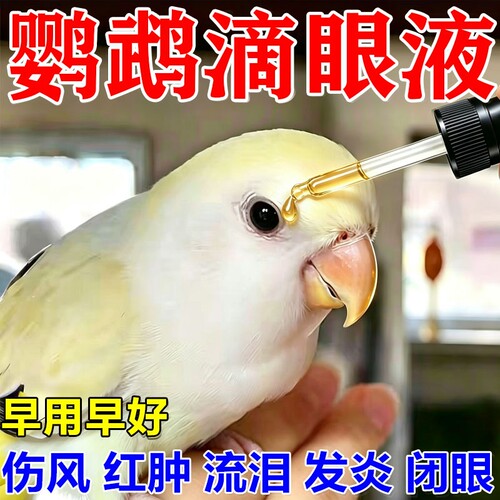 鹦鹉滴眼液单眼伤风玄风虎皮信鸽眼睛睁不开流泪肿胀专用一滴灵
