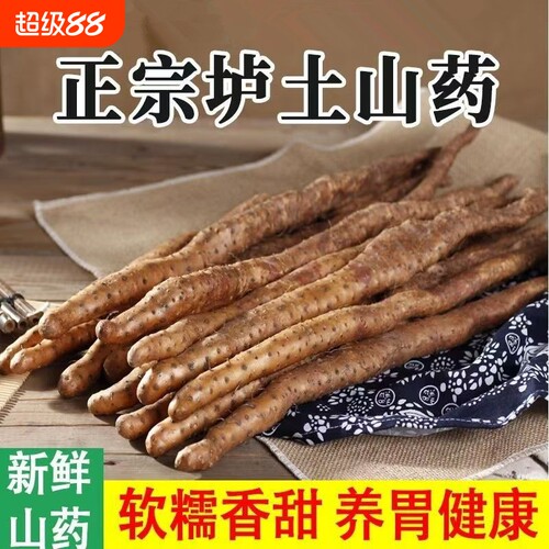 正宗铁棍山药新鲜铁杆怀山药当季小白嘴山药面糯香产地直发中药材