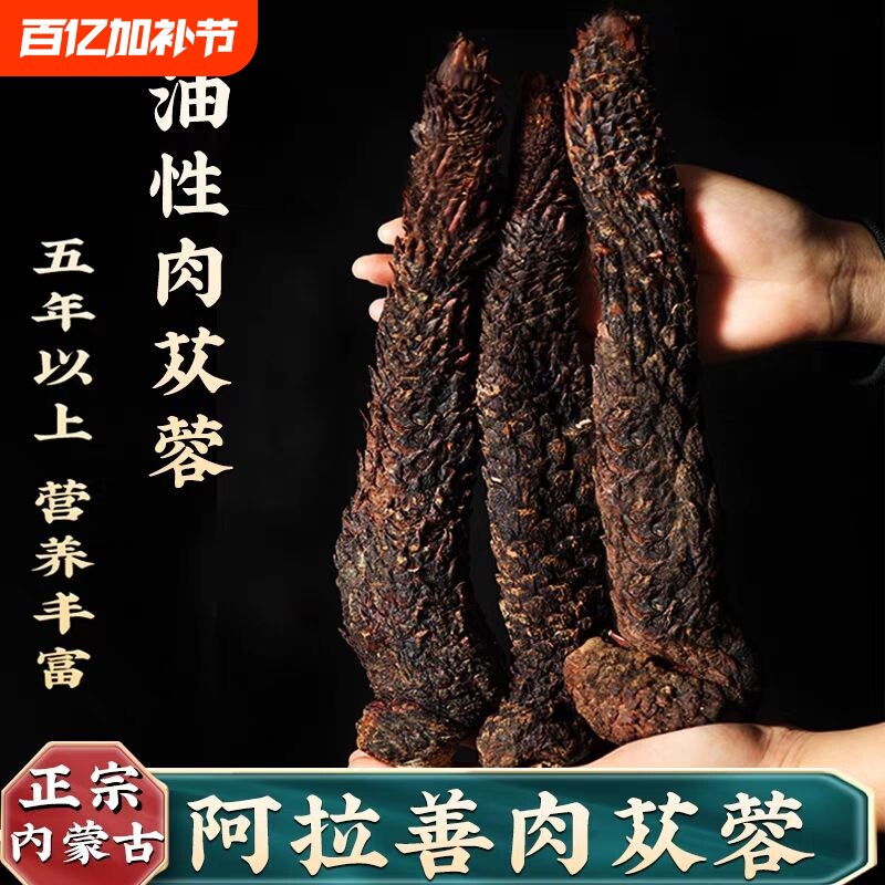 正宗阿拉善肉苁蓉特级野生整根油性软质肉苁蓉男性泡酒切片泡水茶